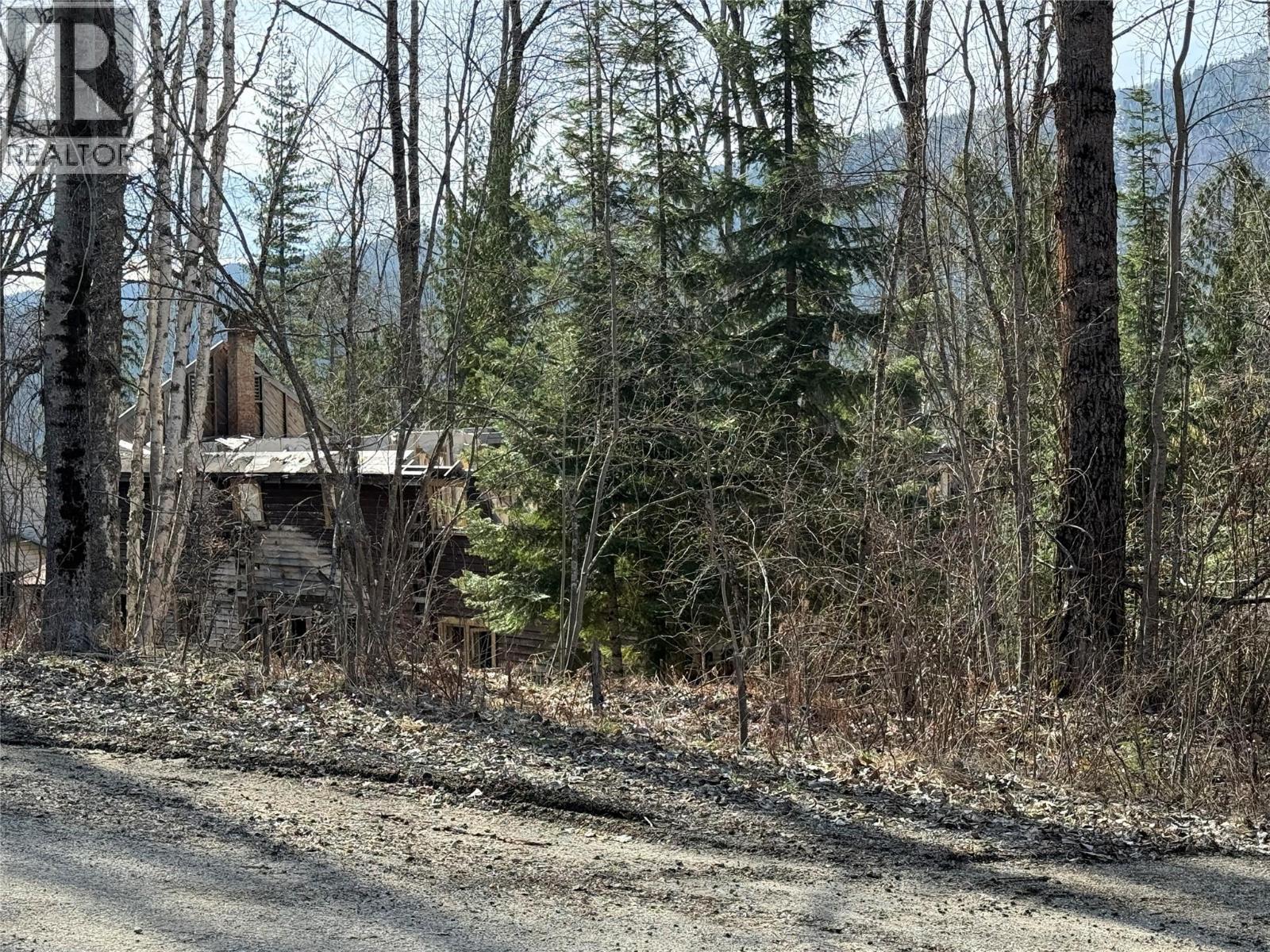 Vector Road Lot# 11, Salmo, BC