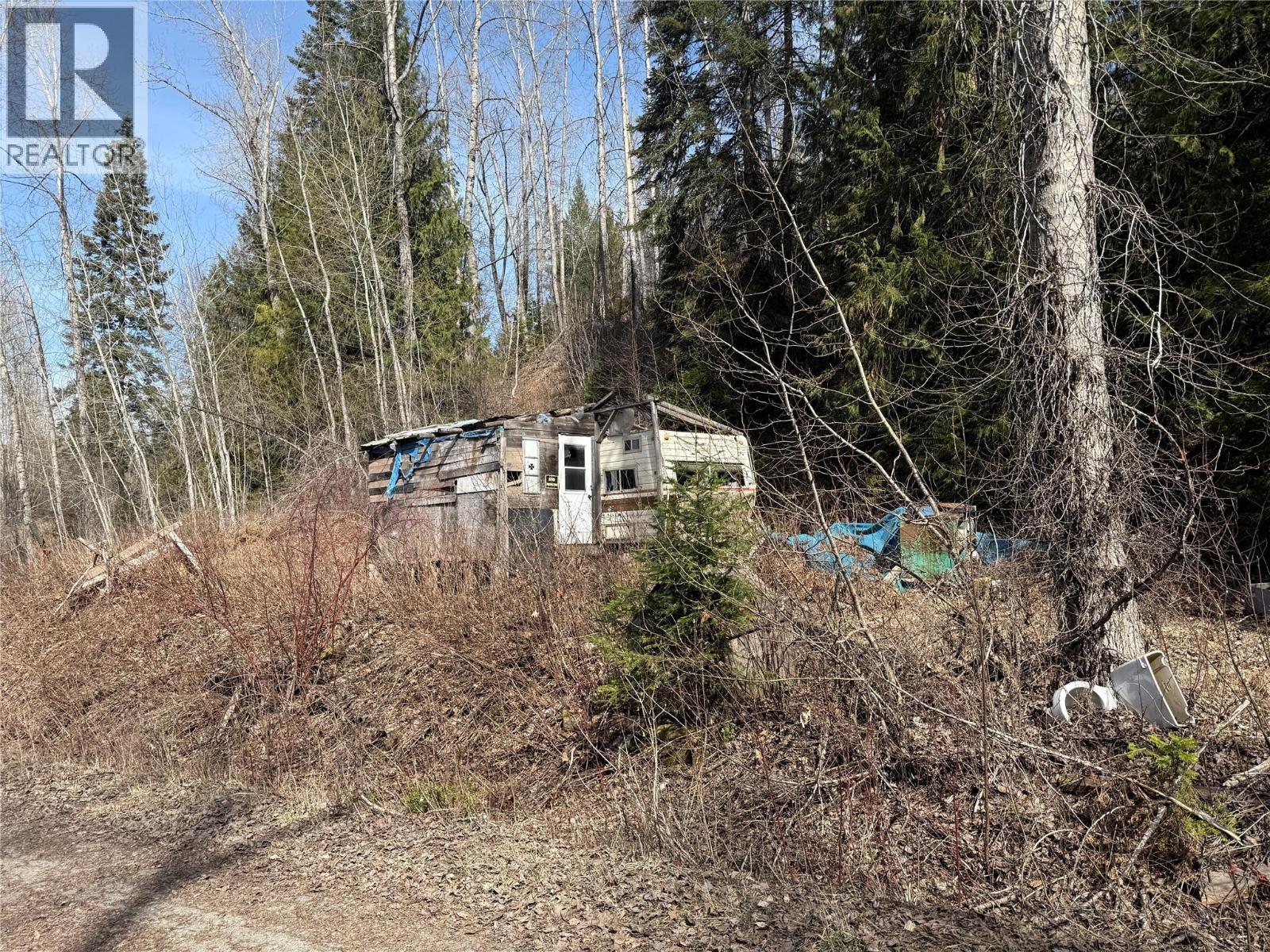 Vector Road Lot# 11, Salmo, BC