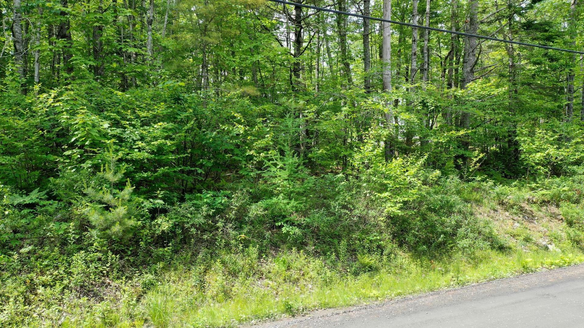 Lot 71 Baker Pt Road, Molega, NS