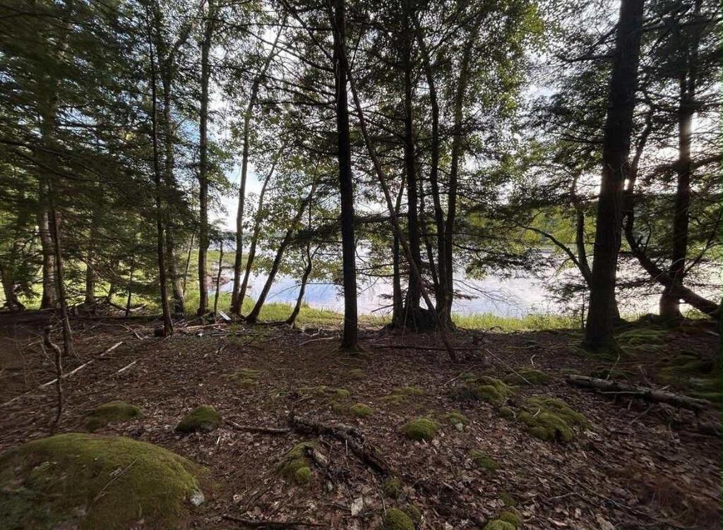Lot 27 Maplesue Point Road, Molega, NS