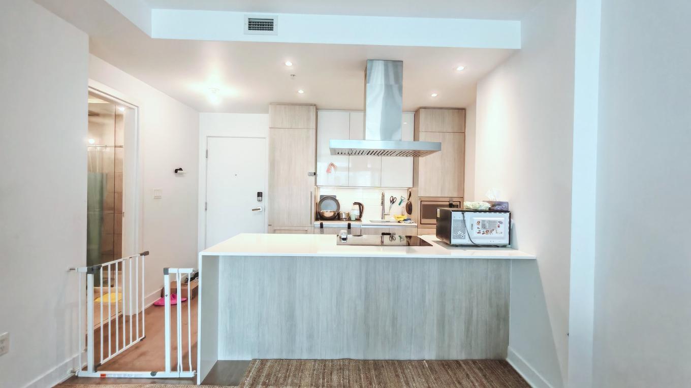 Kitchen - 1107-1239 Rue Drummond, Montréal (Ville-Marie), QC - Indoor Photo Showing Other Room