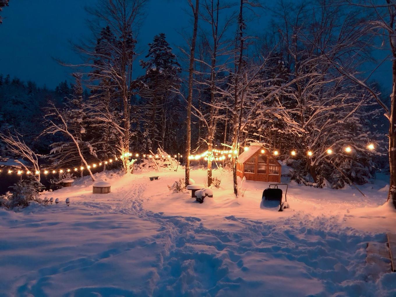 55 Carleton River Road, Carleton, NS