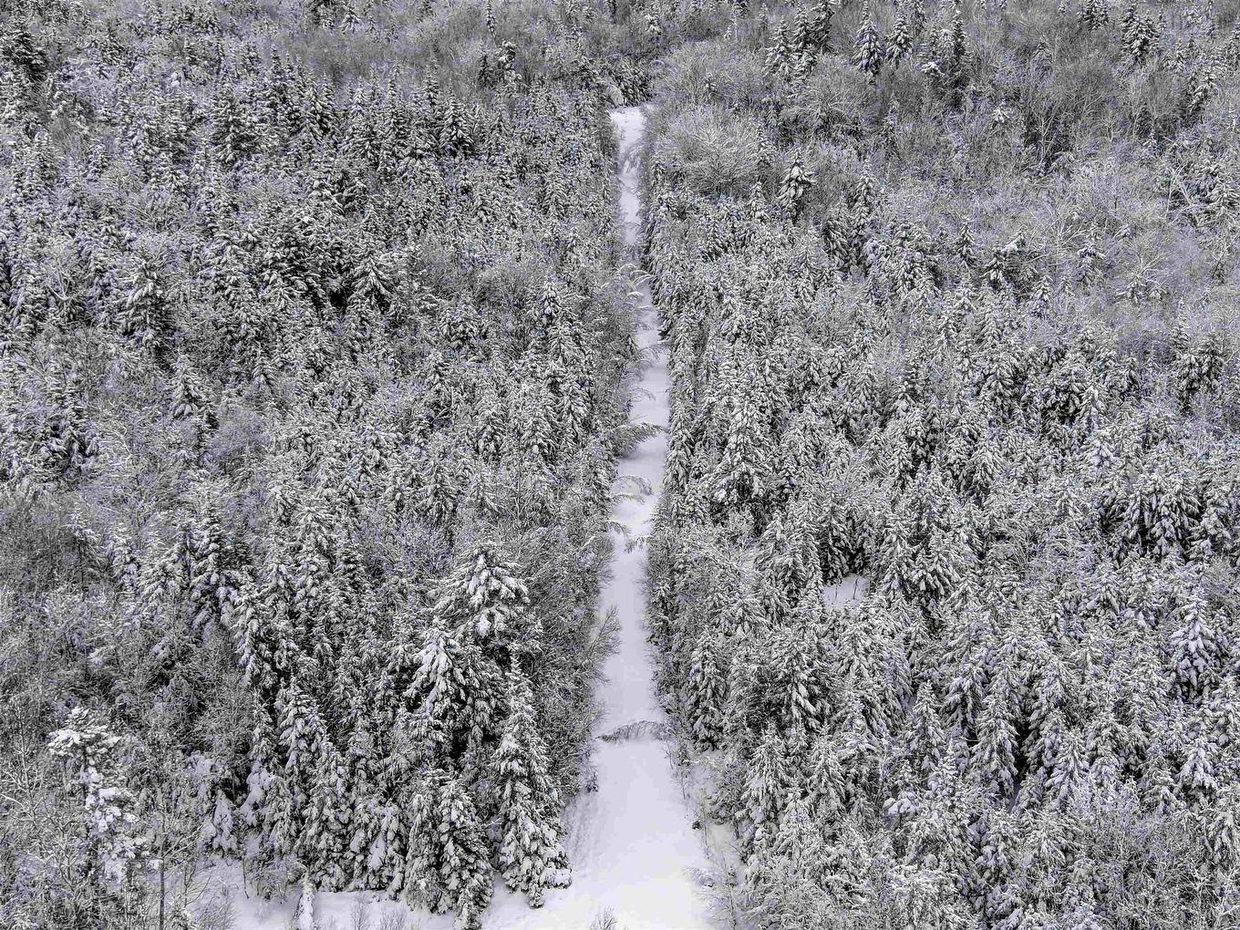 Harmony Road, Harmony, NS