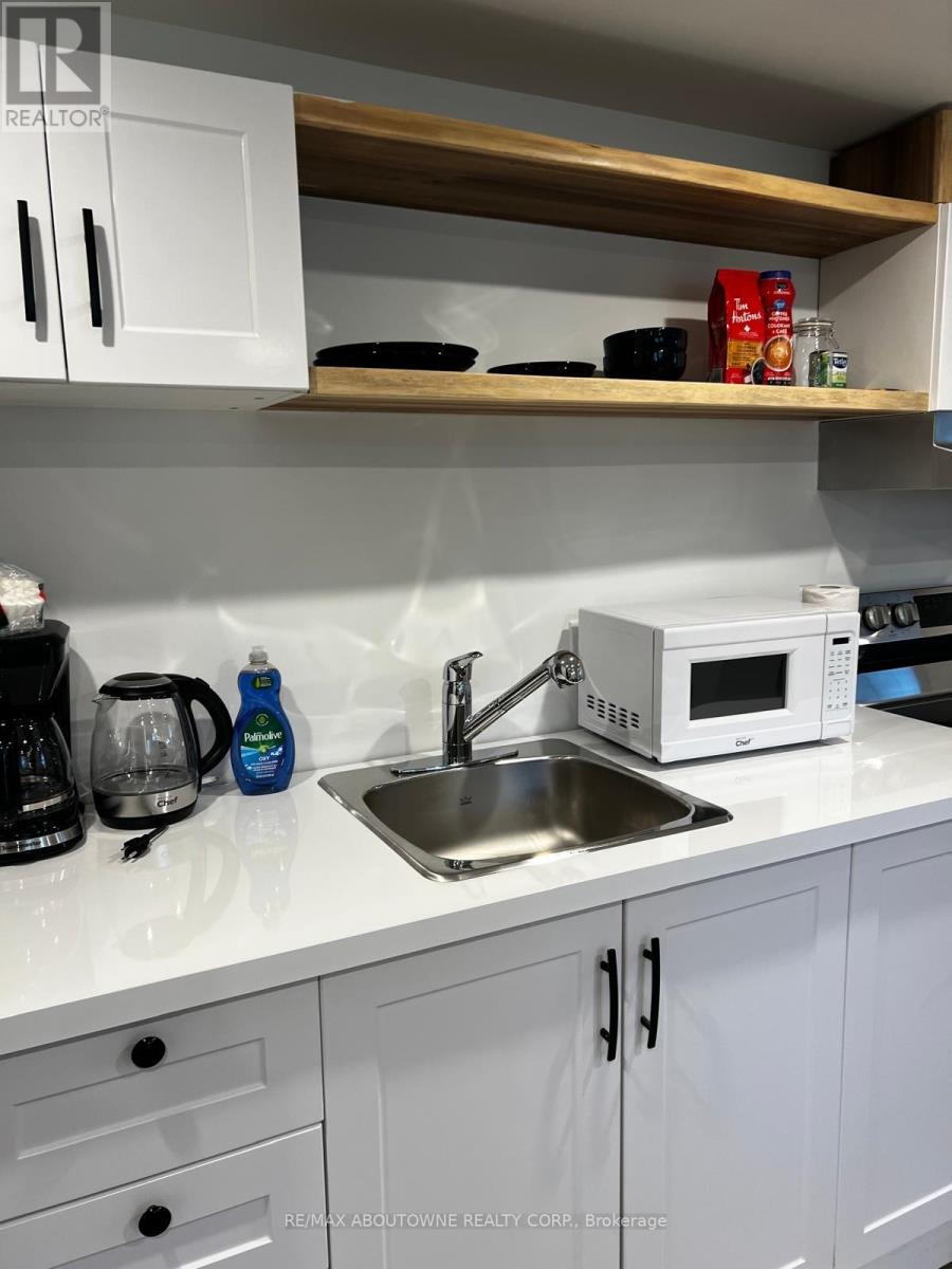 66 Wellington Street S, Hamilton, ON - Indoor Photo Showing Kitchen