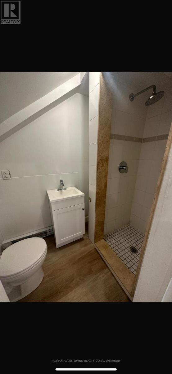 66 Wellington Street S, Hamilton, ON - Indoor Photo Showing Bathroom