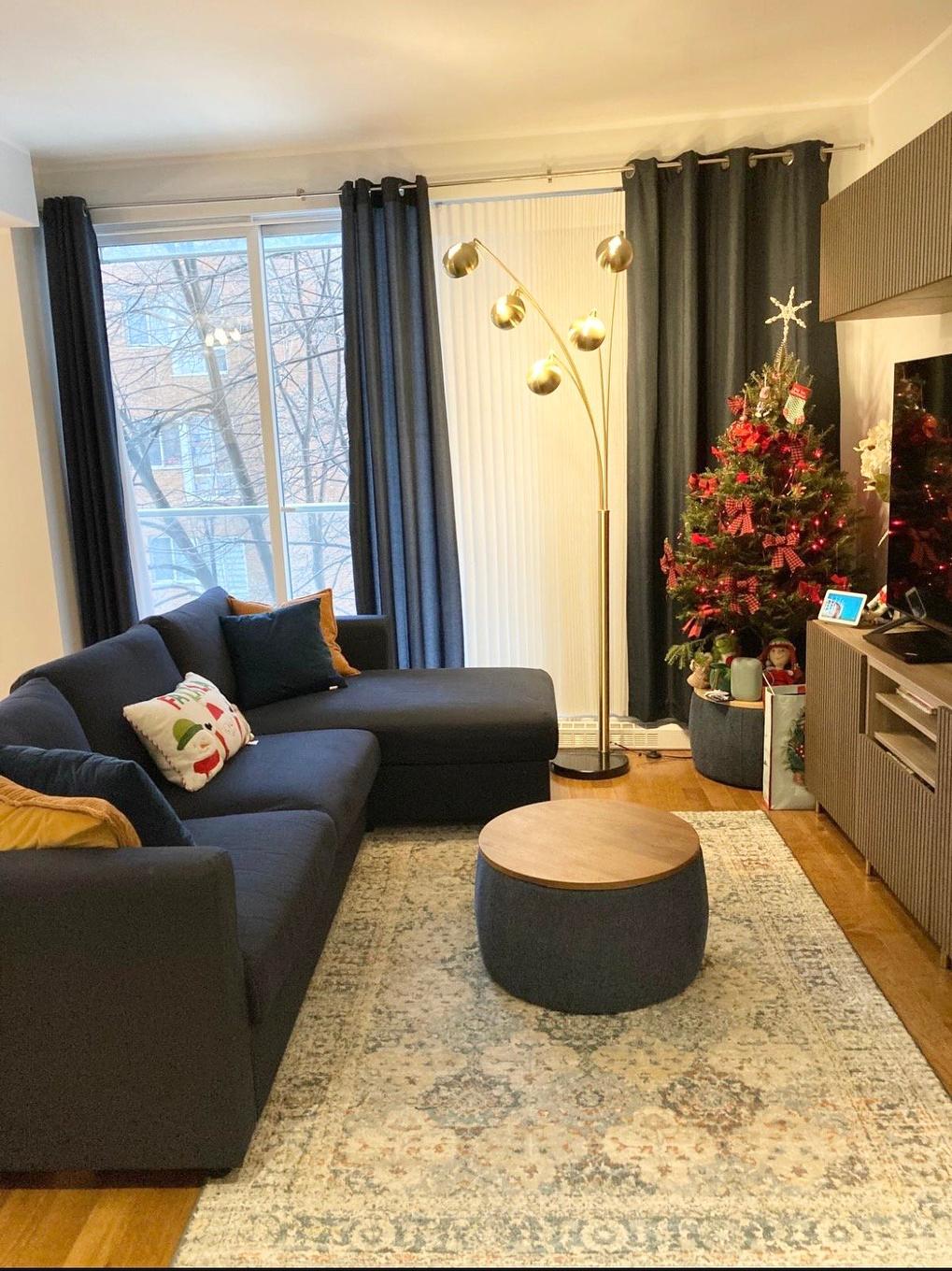 Salon - 208-4500 Ch. De La Côte-Des-Neiges, Montréal (Côte-Des-Neiges/Notre-Dame-De-Grâce), QC - Indoor Photo Showing Living Room