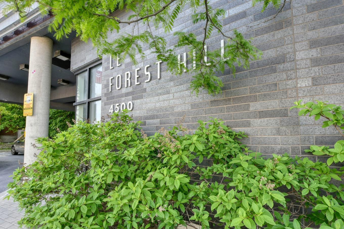 Extérieur - 208-4500 Ch. De La Côte-Des-Neiges, Montréal (Côte-Des-Neiges/Notre-Dame-De-Grâce), QC - Outdoor