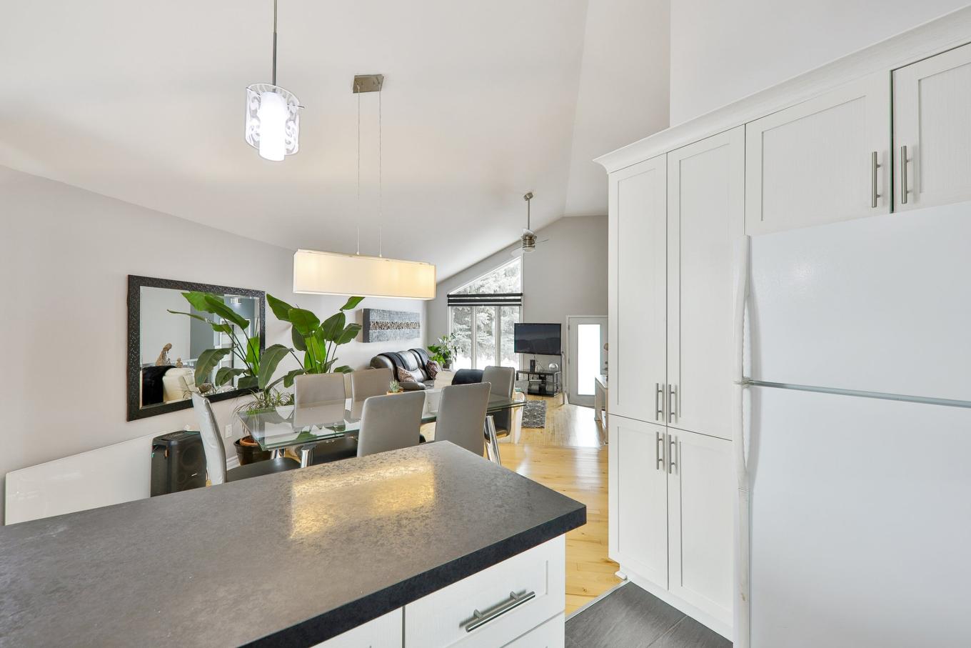 Vue d'ensemble - 13295 Rue Joseph-Piché, Montréal (Rivière-Des-Prairies/Pointe-Aux-Trembles), QC - Indoor Photo Showing Kitchen