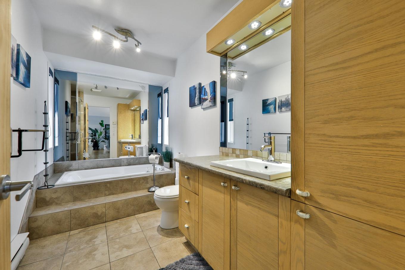 Salle de bains - 13295 Rue Joseph-Piché, Montréal (Rivière-Des-Prairies/Pointe-Aux-Trembles), QC - Indoor Photo Showing Bathroom