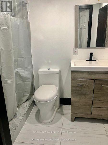 85 Wilson Street, Hamilton, ON - Indoor Photo Showing Bathroom