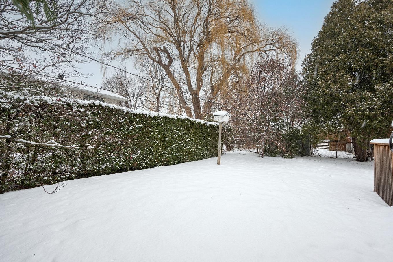 Cour - 6000 Rue Verlaine, Brossard, QC - Outdoor