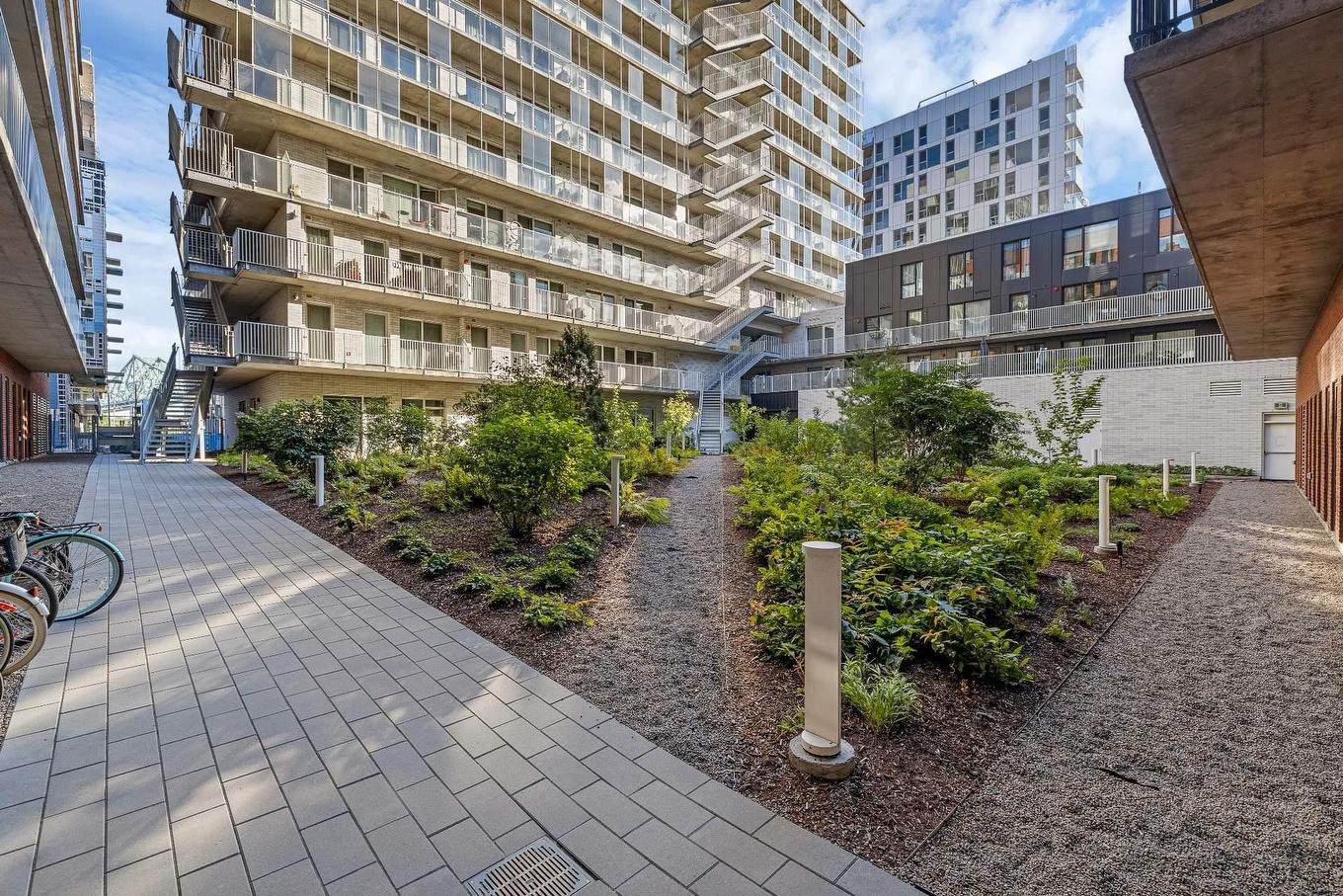 Backyard - 737-2180 Rue Ste-Catherine E., Montréal (Ville-Marie), QC - Outdoor