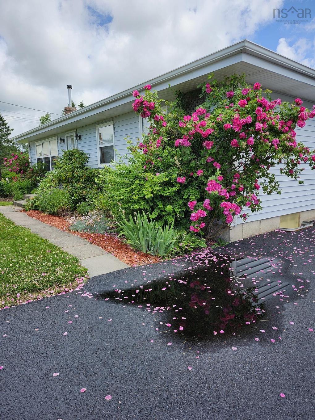 22 Macdougall, Antigonish, NS