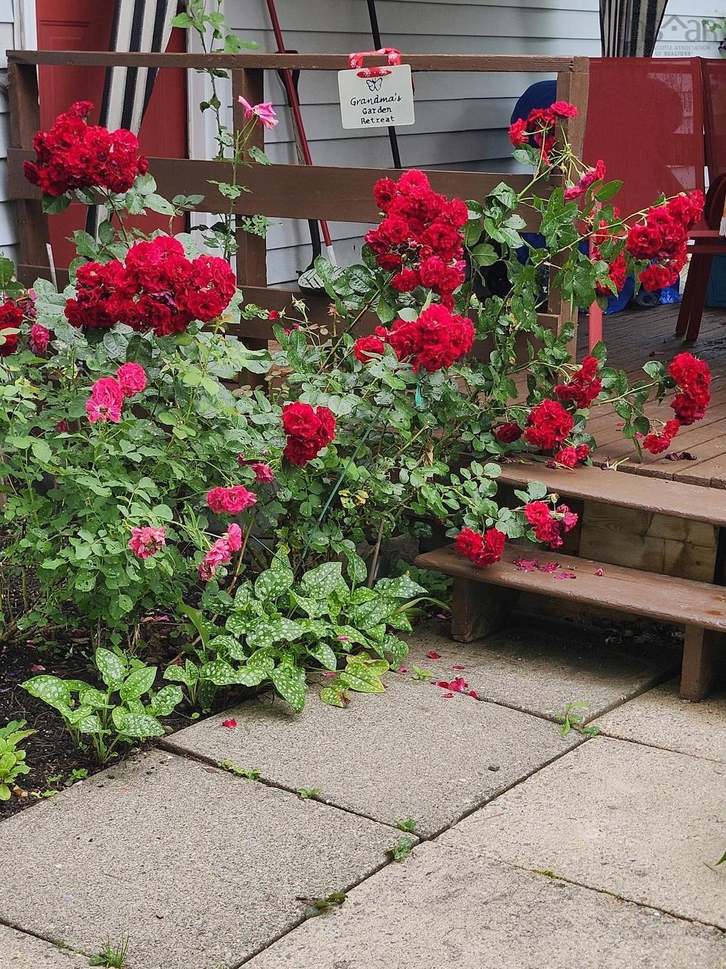 22 Macdougall, Antigonish, NS