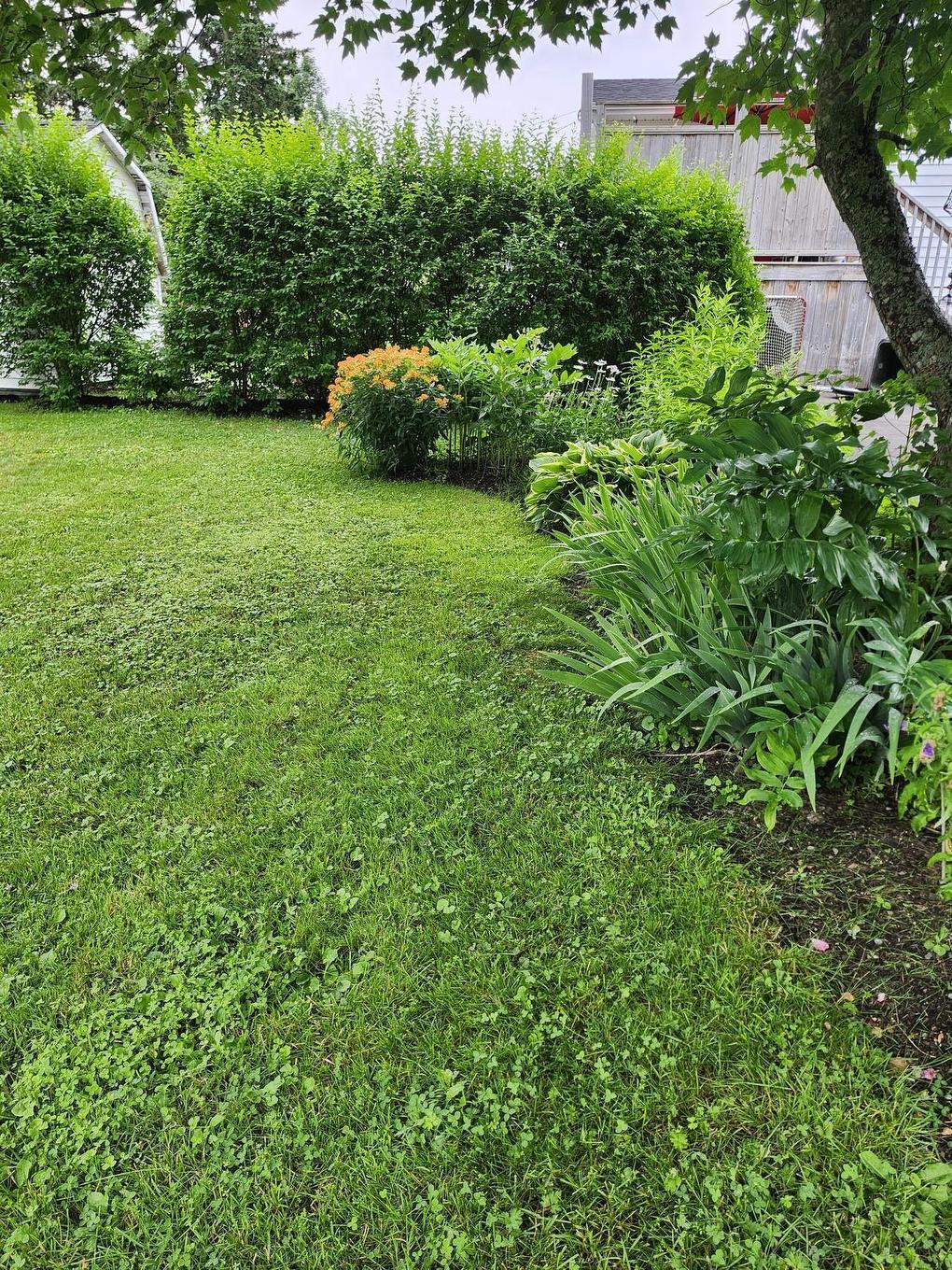 22 Macdougall, Antigonish, NS