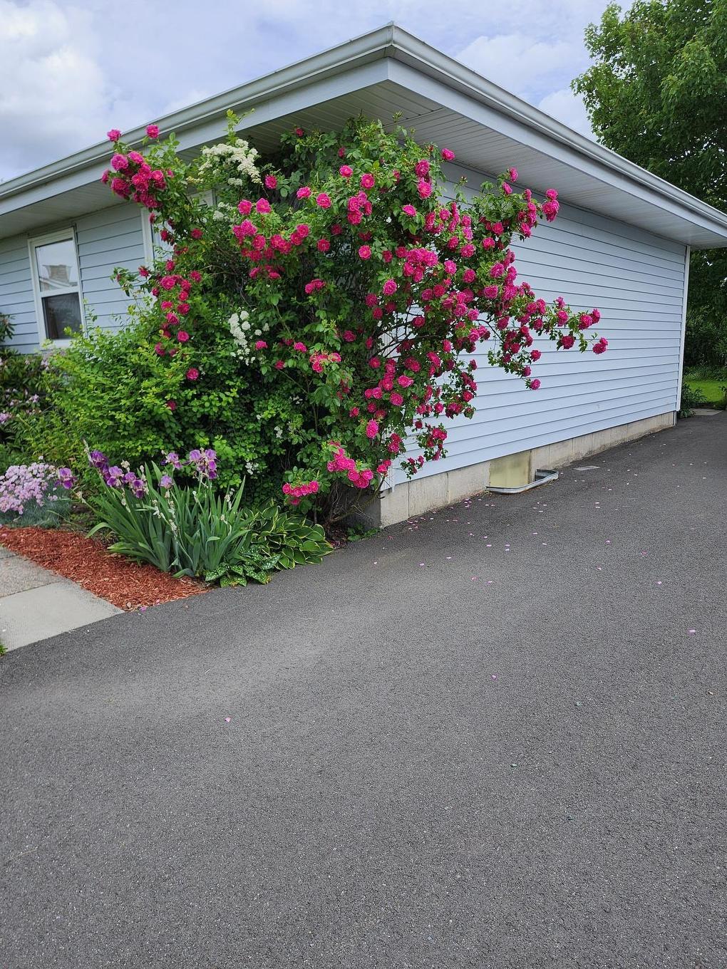 22 Macdougall, Antigonish, NS