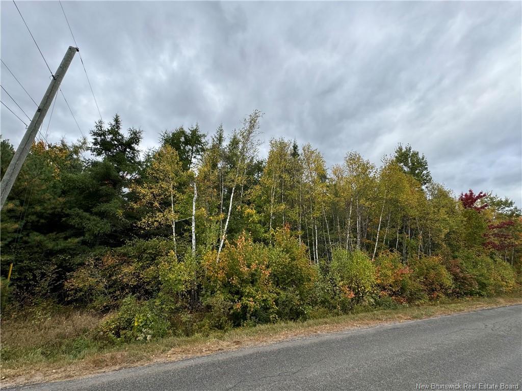 - Blueberry Lane, Codys, NB