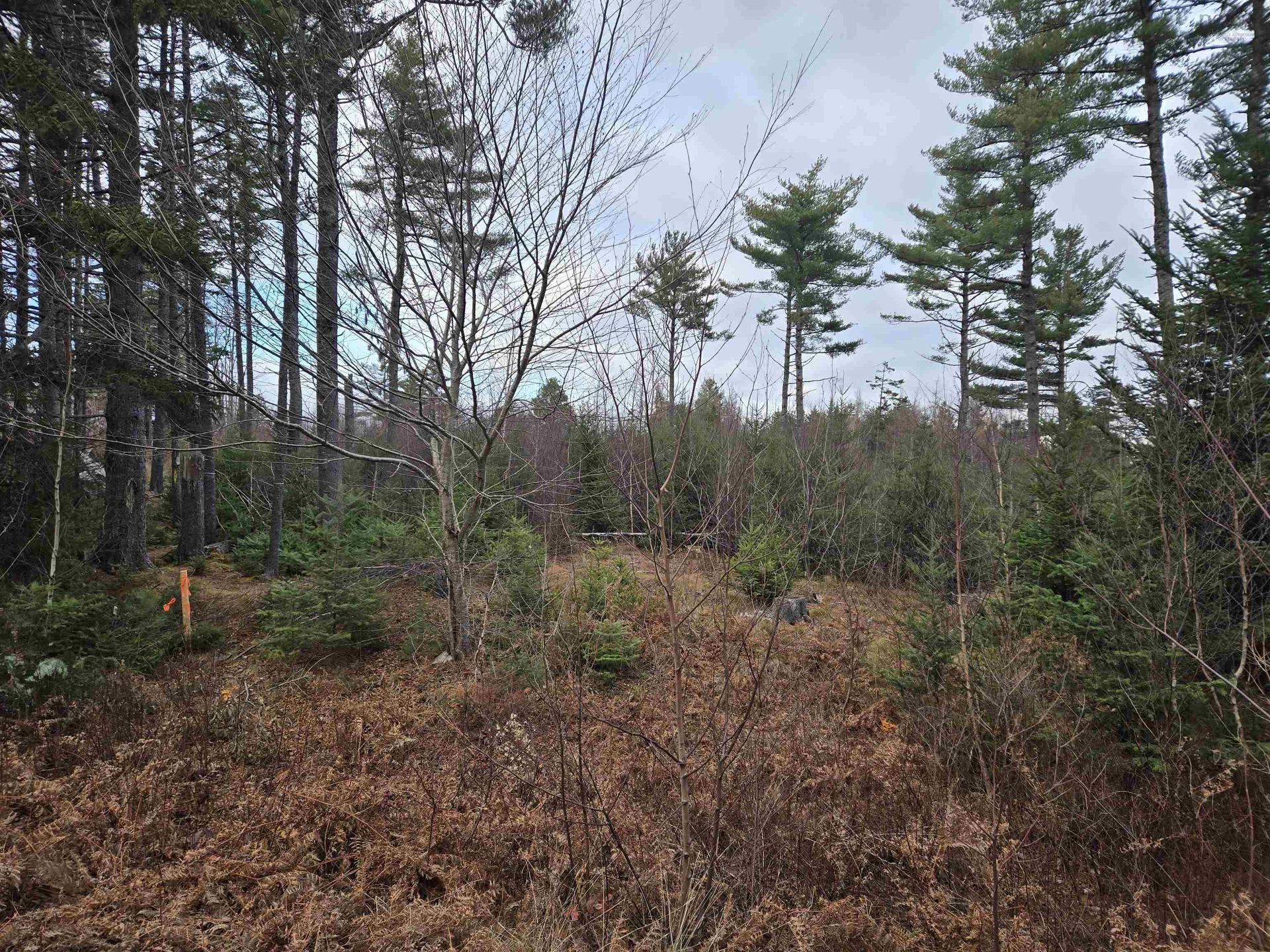 Lot P-1 Baker Road, Mount Pleasant, NS