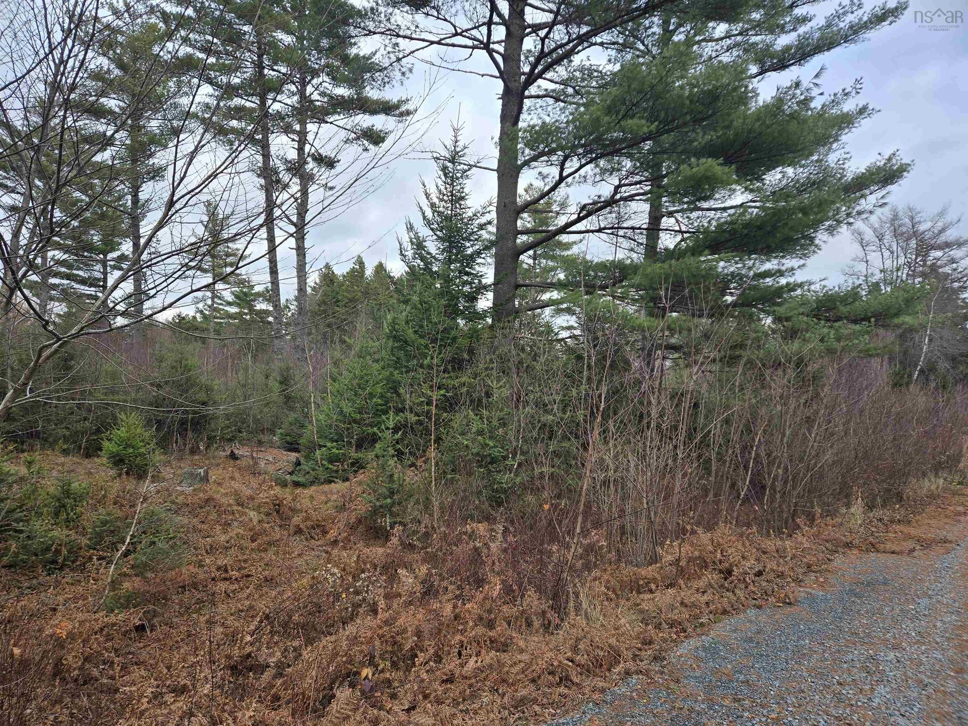 Lot P-1 Baker Road, Mount Pleasant, NS