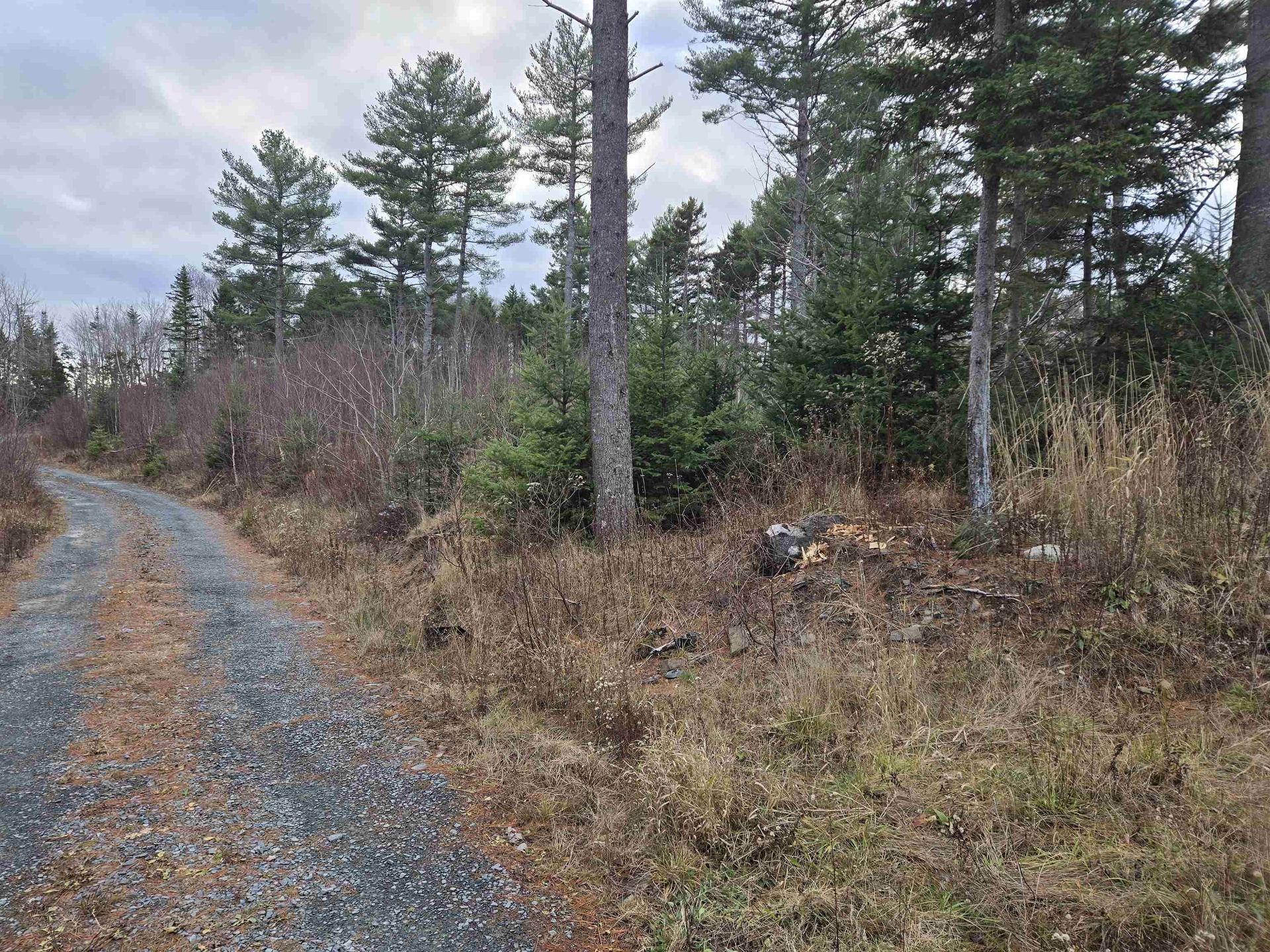 Lot P-1 Baker Road, Mount Pleasant, NS