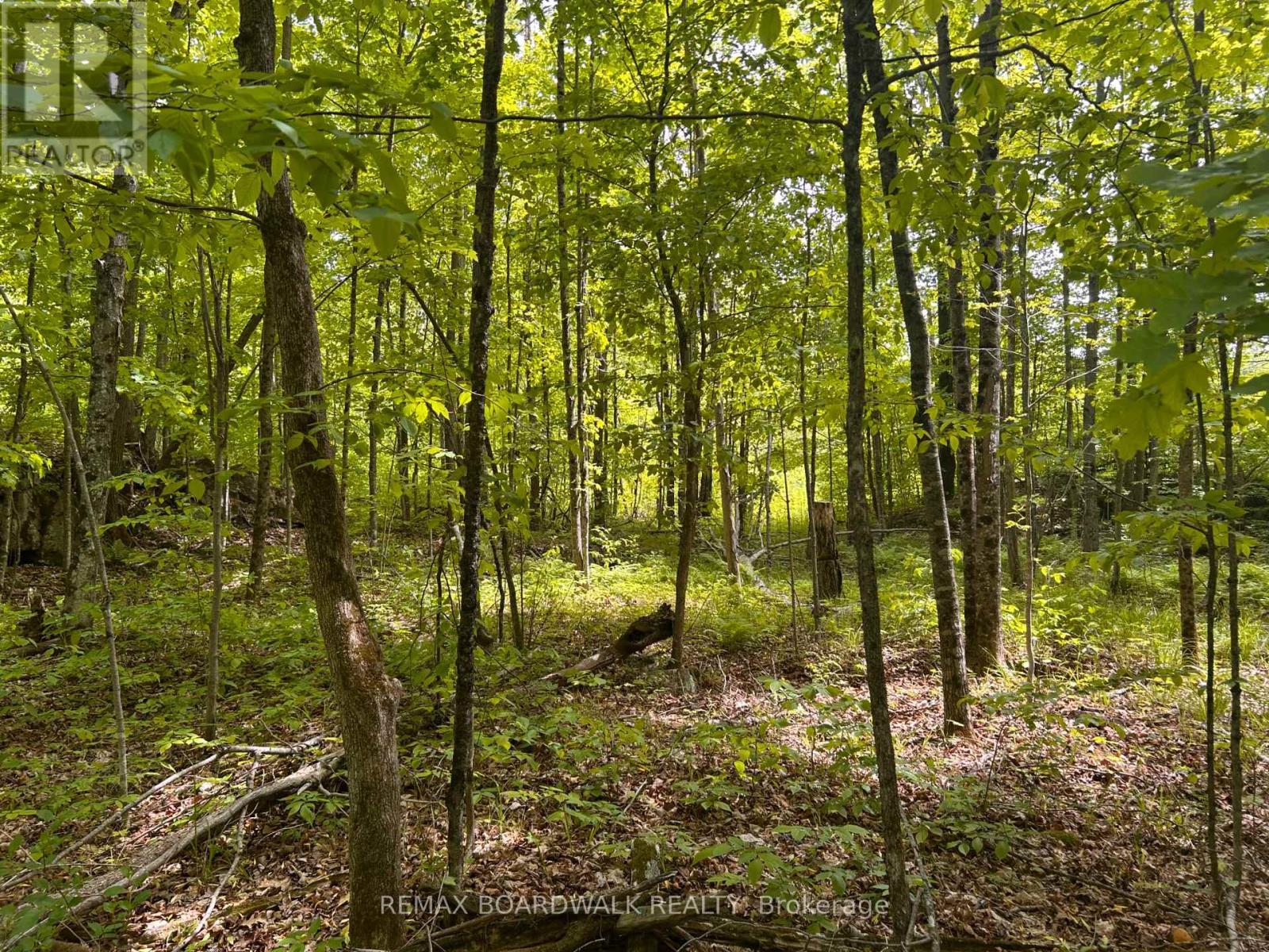 00 Ebbs Bay Road, Drummond/North Elmsley, ON