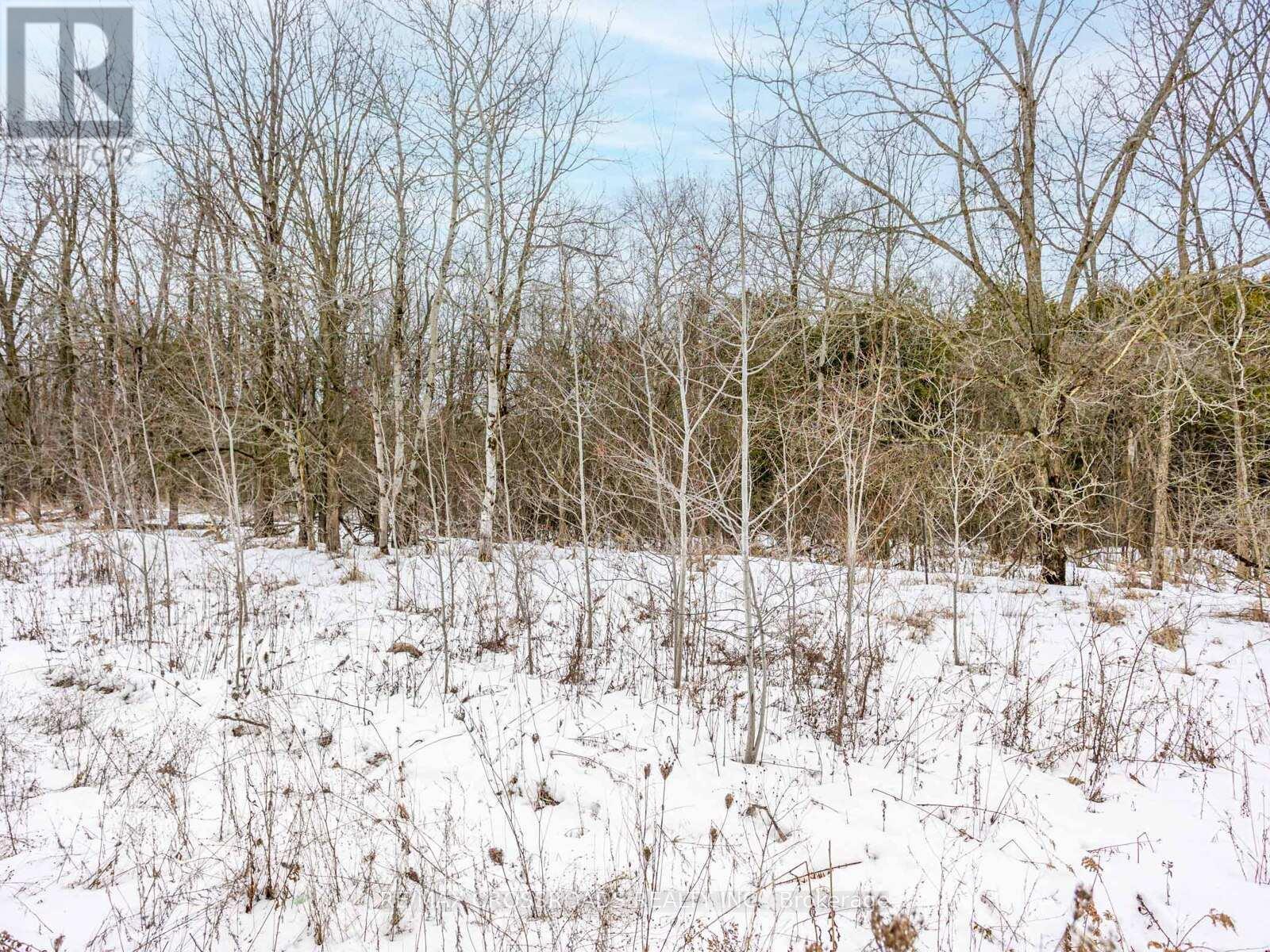 171 Busato Drive, Whitchurch-Stouffville, ON - Outdoor With View