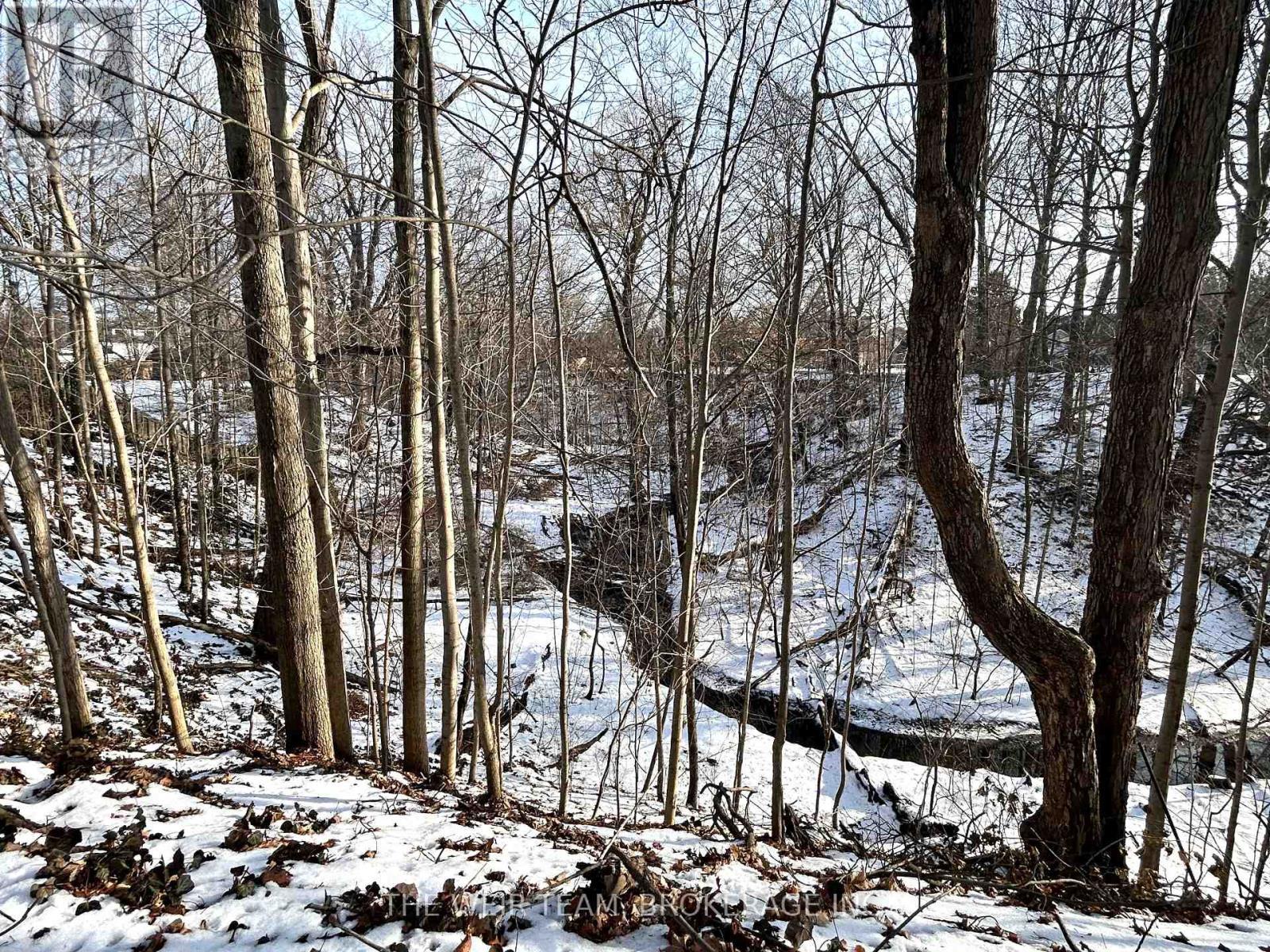 South facing backyard with ravine views - 17 Glen Robert Drive, Toronto, ON - Outdoor With View