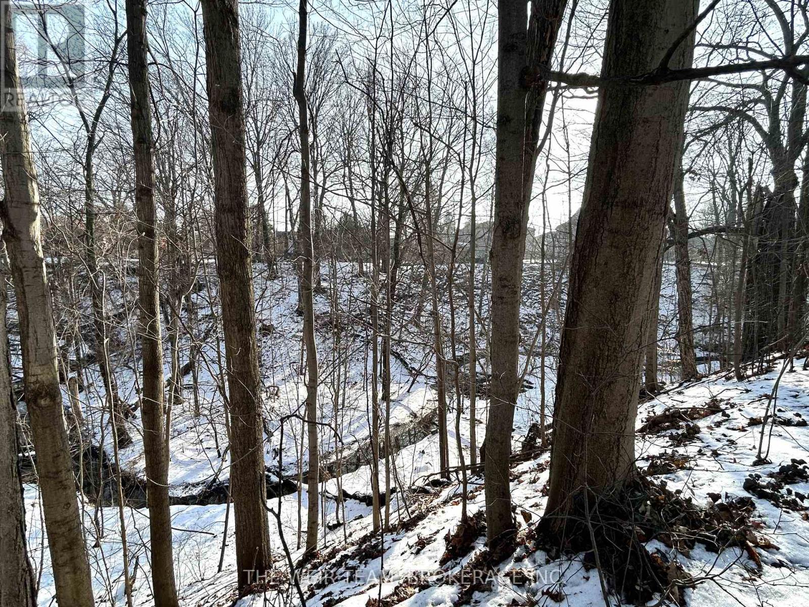 South facing backyard with ravine views - 17 Glen Robert Drive, Toronto, ON - Outdoor With View