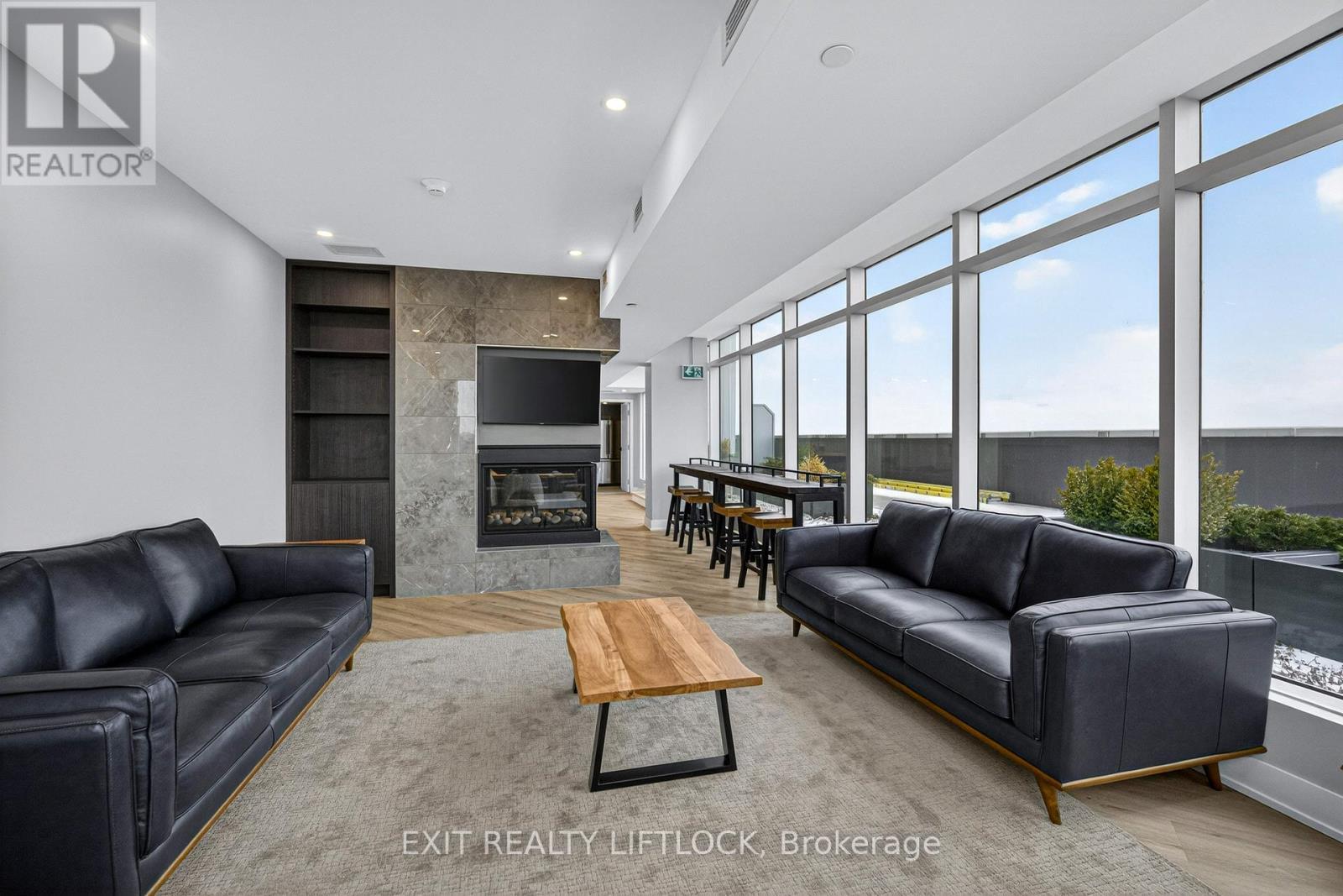 805 - 195 Hunter E, Peterborough (Ashburnham Ward 4), ON - Indoor Photo Showing Living Room With Fireplace