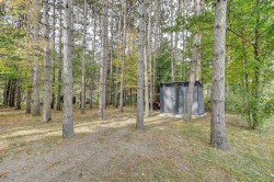Wooded area -
