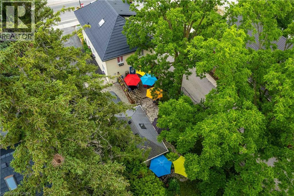 Beautiful foliage to add to the ambiance. - 99 Argyle Street N, Caledonia, ON - Outdoor