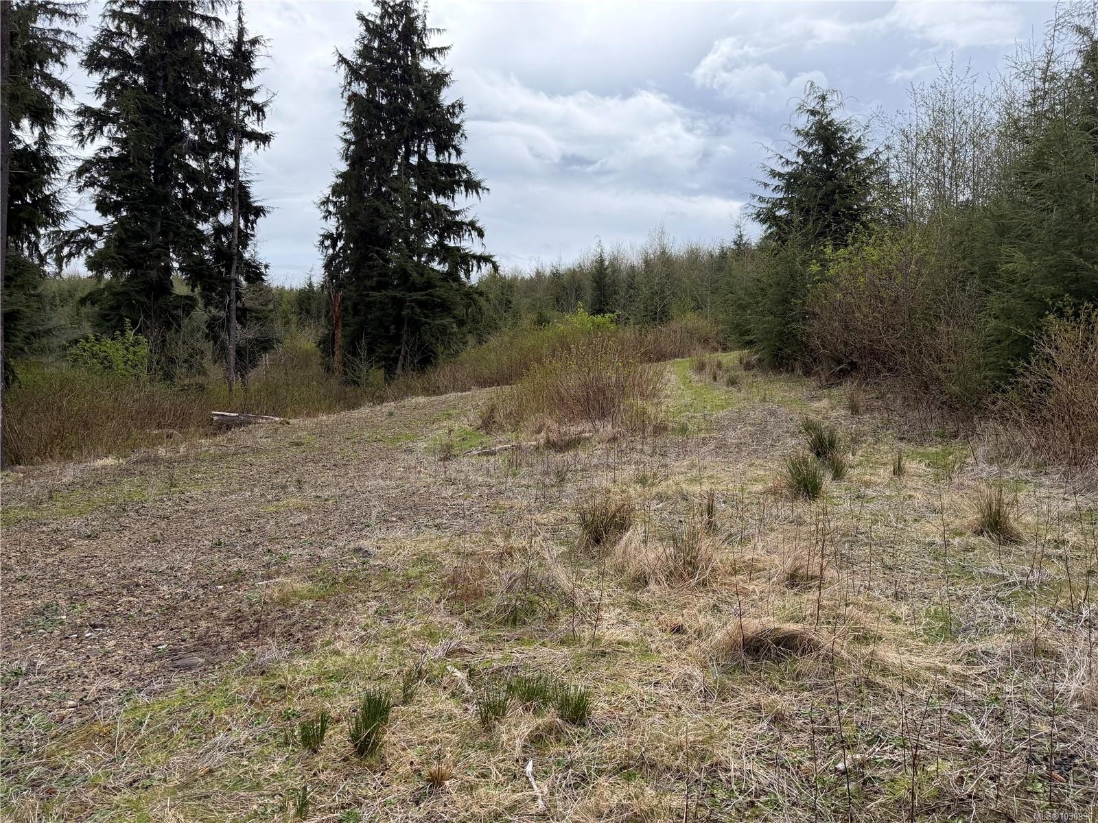 Lot 10 Ingersoll, Quatsino, BC