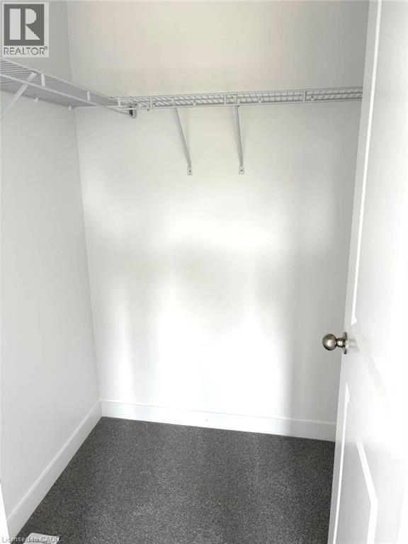Spacious closet featuring carpet - 7 Pin Oak Common, Cambridge, ON - Indoor With Storage