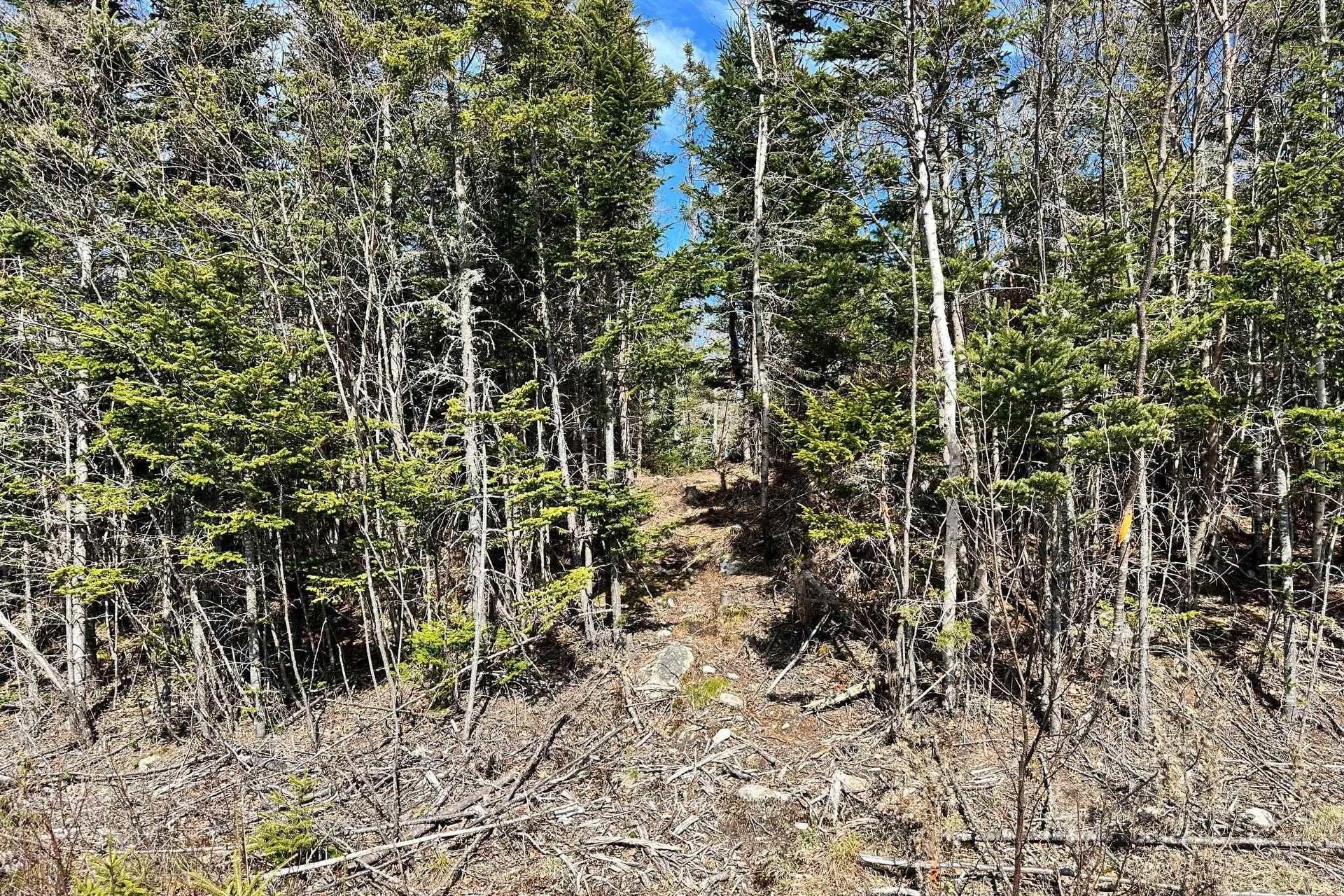 41 Blind Bay Drive, Blind Bay, NS