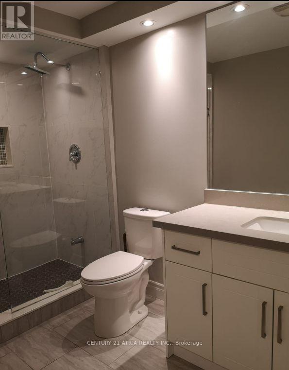Lower - 46 Willowbrook Road, Markham, ON - Indoor Photo Showing Bathroom