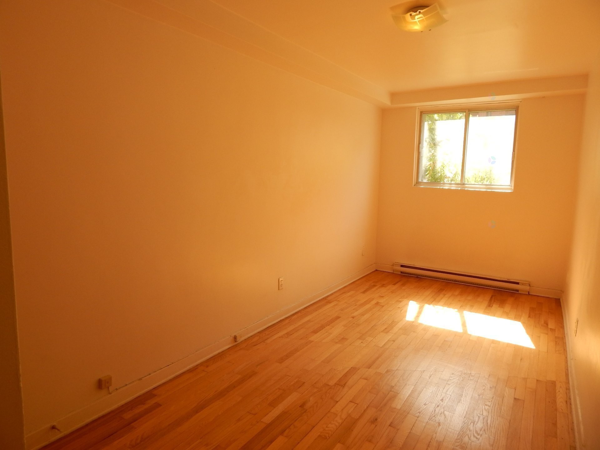 Master Bedroom - 1-8660 Av. Bloomfield, Montréal (Villeray/Saint-Michel/Parc-Extension), QC - Indoor Photo Showing Other Room