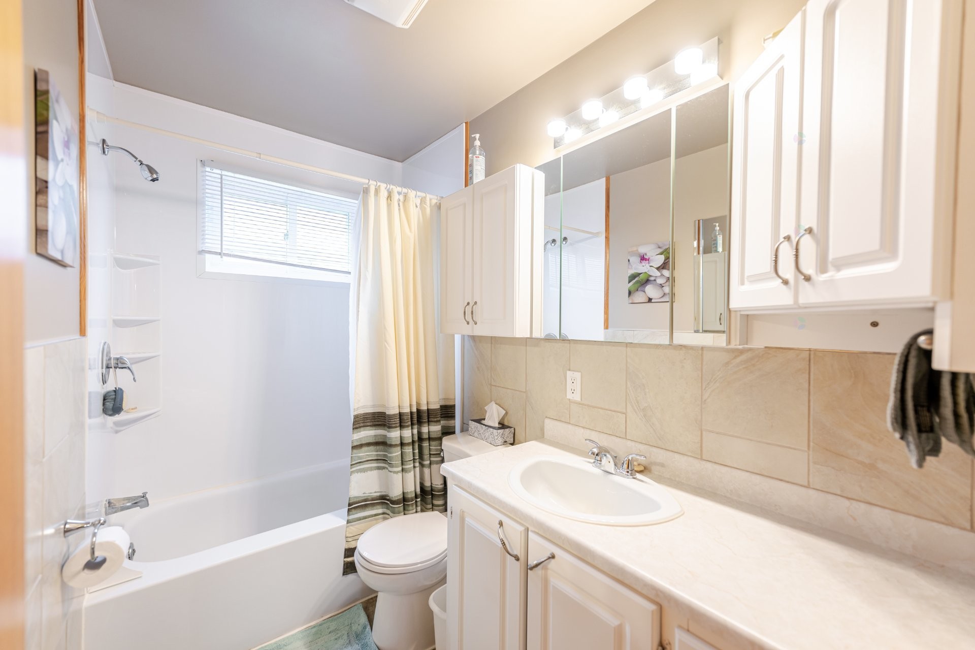 Bathroom - 321 Ch. Bourassa, Acton Vale, QC - Indoor Photo Showing Bathroom