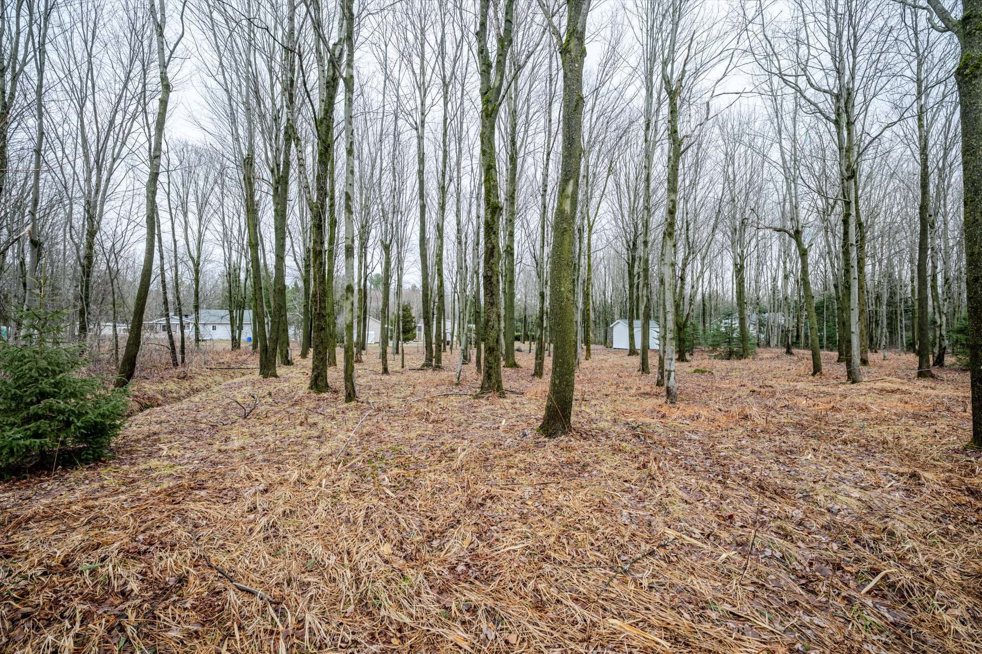 Overall view - 321 Ch. Bourassa, Acton Vale, QC - Outdoor With View