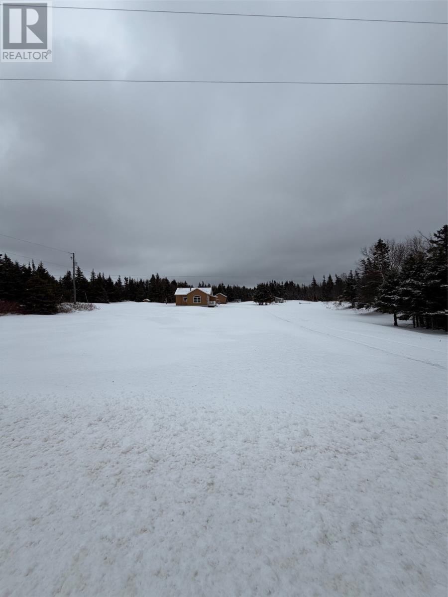 94-98 Main Street, Cow Head, NL - Outdoor With View