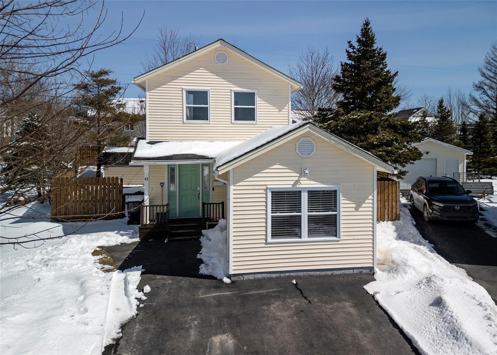 41 Browne Crescent, St.John'S, NL