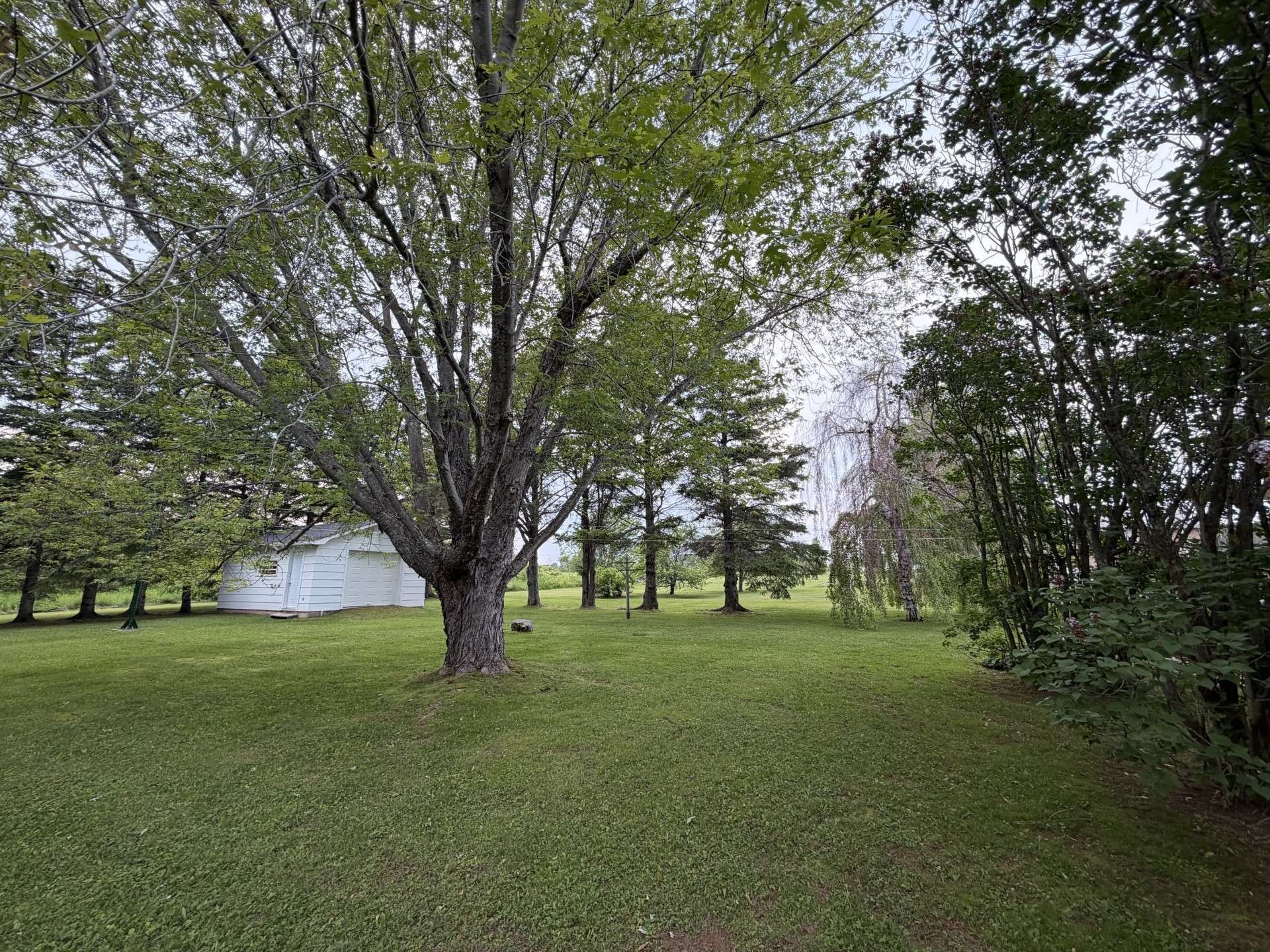 Cour - 164 Rue St-Pie-X, Paspébiac, QC - Outdoor