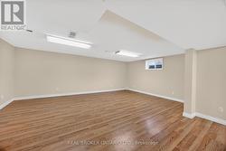 Bright Basement -