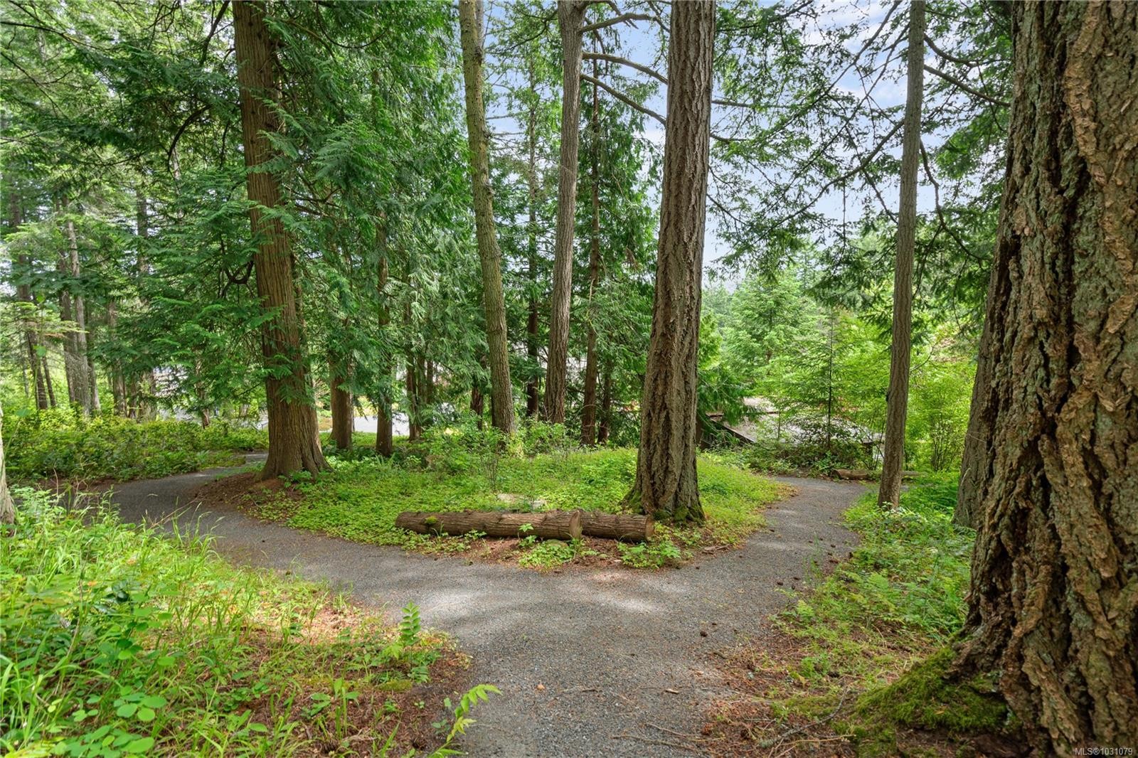 441 Glendower Rd, Saanich, BC