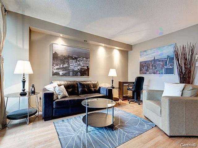 Salon - 764-1077 Rue St-Mathieu, Montréal (Ville-Marie), QC - Indoor Photo Showing Living Room