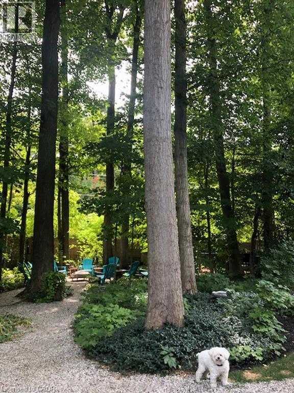 24 Primrose Path, Kitchener, ON - Outdoor