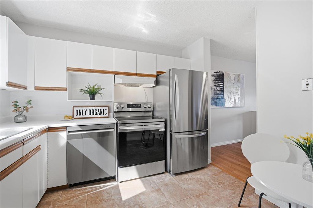B 67 Apple Lane, Winnipeg, MB - Indoor Photo Showing Kitchen