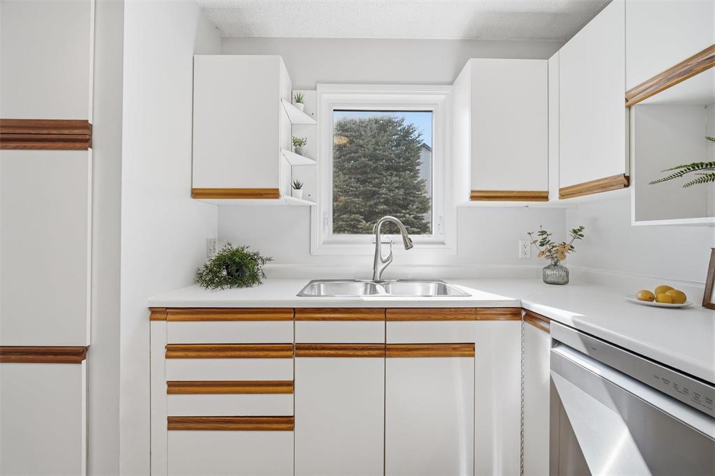 B 67 Apple Lane, Winnipeg, MB - Indoor Photo Showing Kitchen With Double Sink