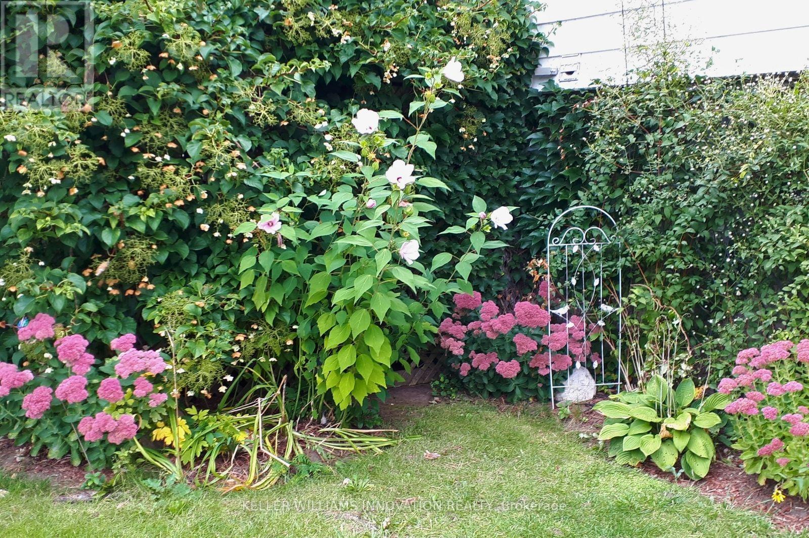 273 Thaler Avenue, Kitchener, ON - Outdoor