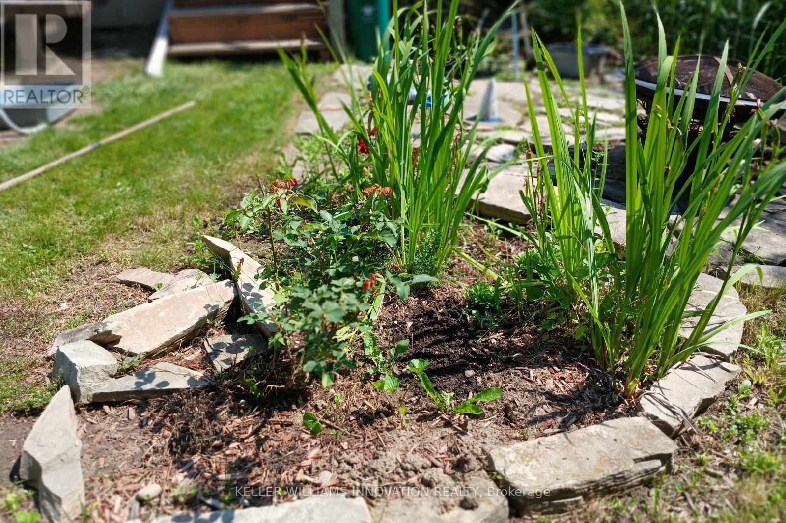 273 Thaler Avenue, Kitchener, ON - Outdoor