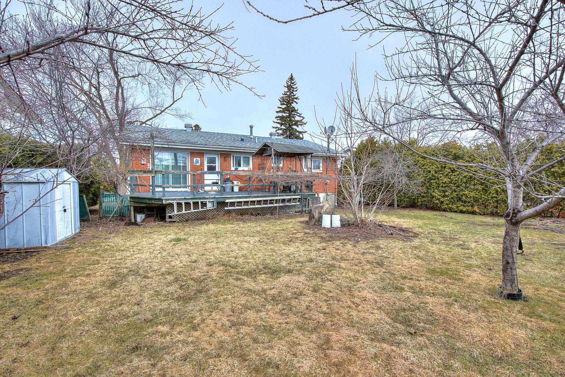 Cour - 364 Rue Frontenac, Dollard-Des-Ormeaux, QC - Outdoor With Deck Patio Veranda